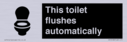 this-toilet-flushes-automatically~
